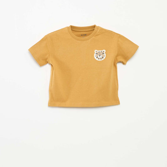 DMA65_2_ZC1