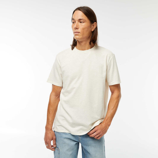 DNI48_1_ZC1