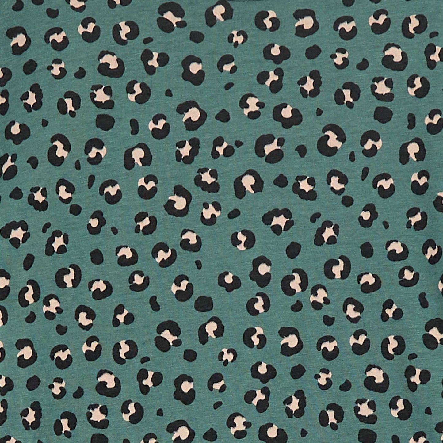 DPT48_2_ZC2