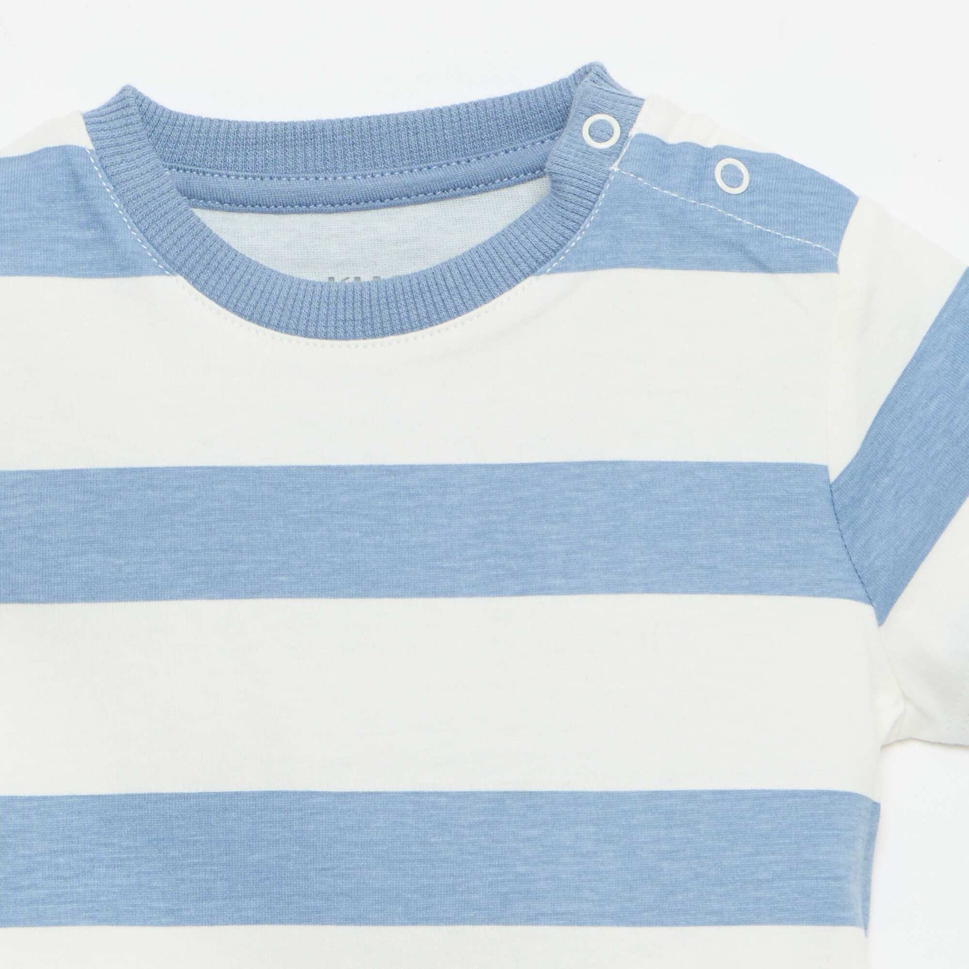 Plain Cotton Jersey T-shirt BLUE