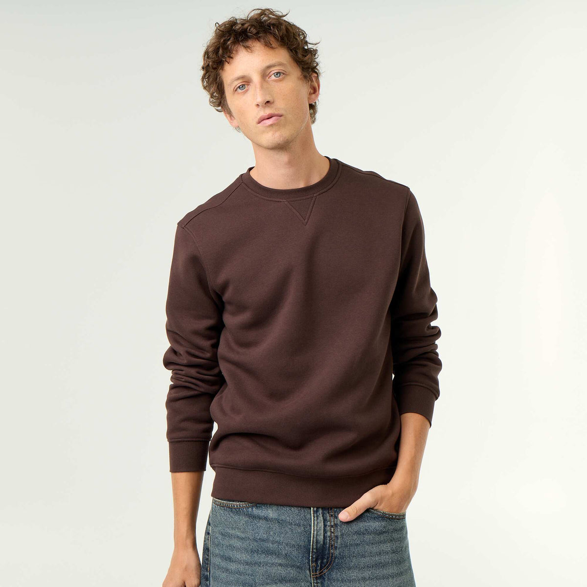 Plain Brushed Fleece Sweatshirt BROWN