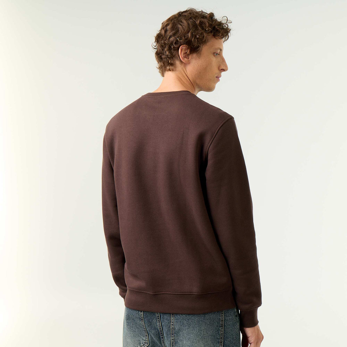 Plain Brushed Fleece Sweatshirt BROWN
