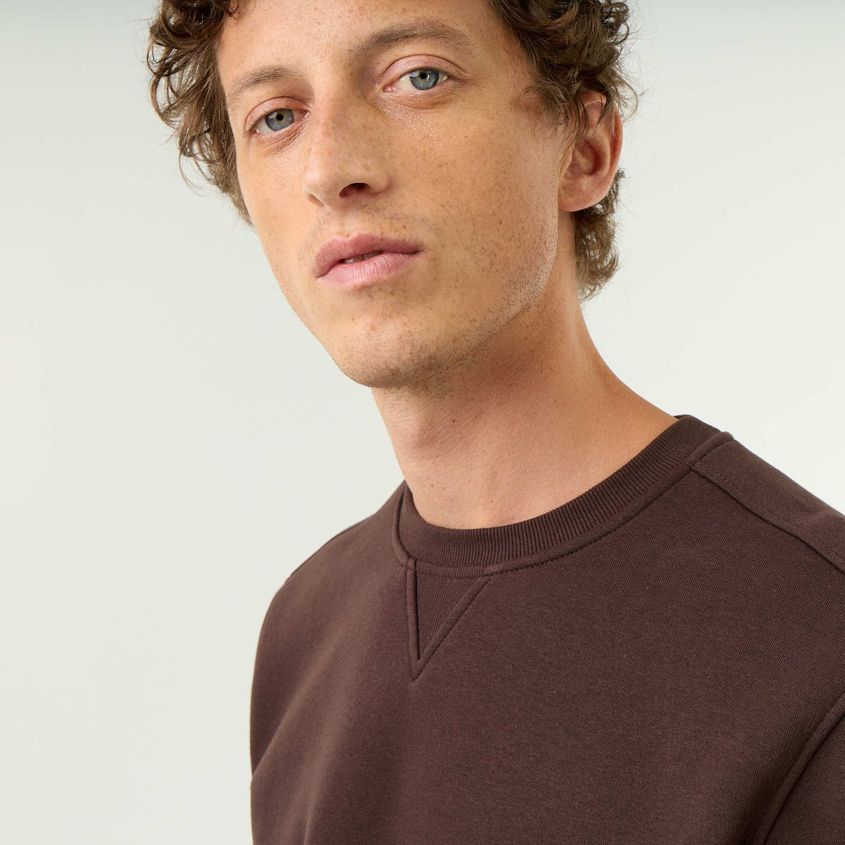 Plain Brushed Fleece Sweatshirt BROWN