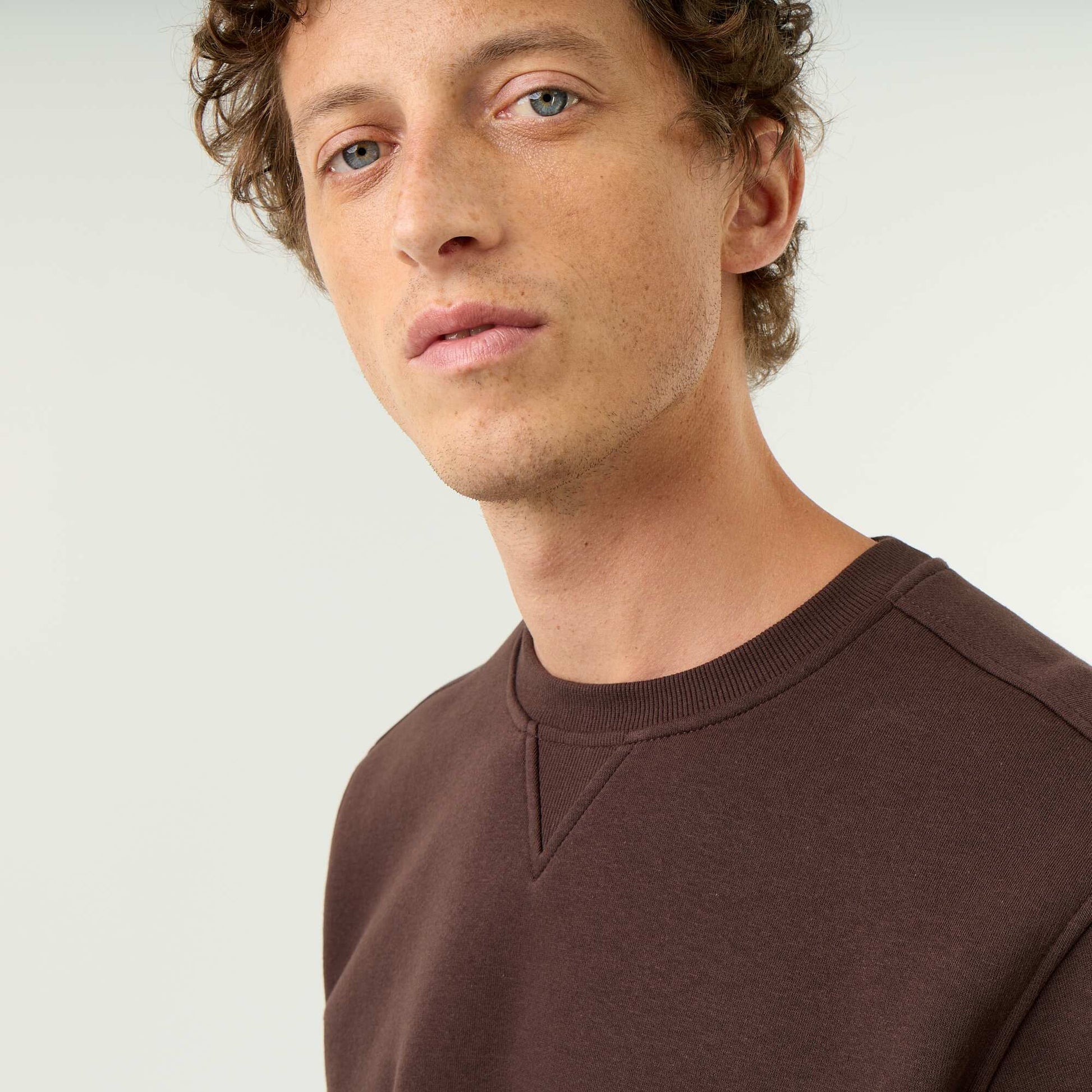 Plain Brushed Fleece Sweatshirt BROWN