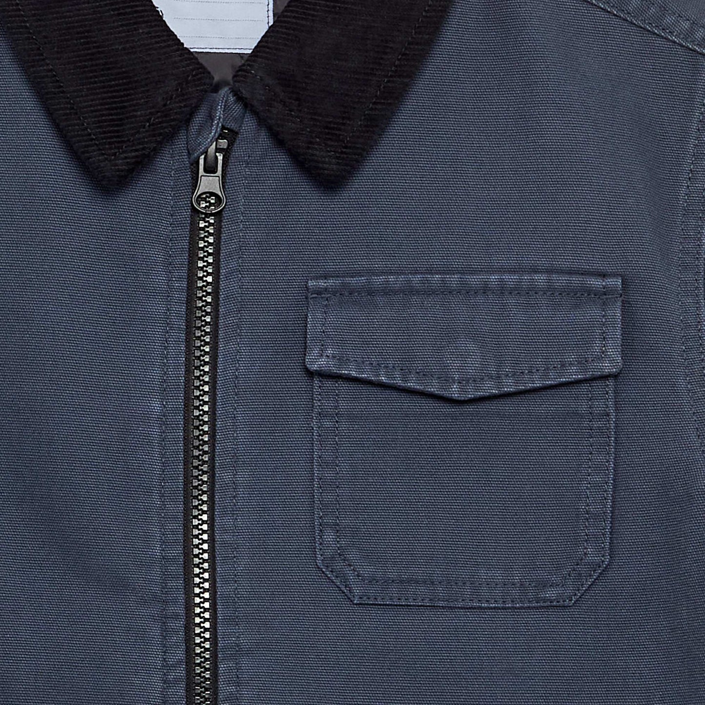 Short jacket with contrasting velvet collar BLUE